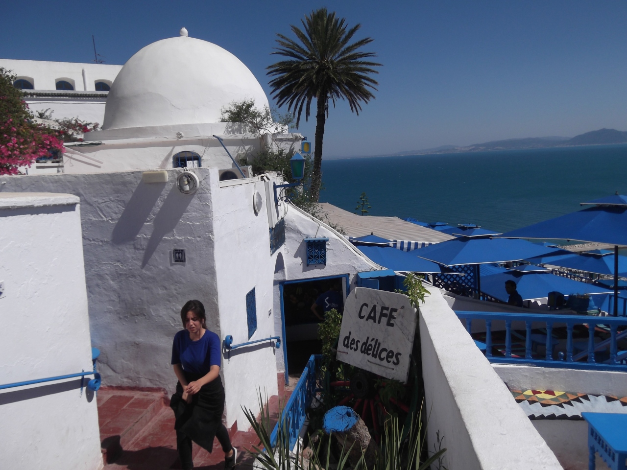 19 ｼﾃﾞｨﾌﾞｻｲﾄﾞ8ｶ国7ﾌﾗｲﾄ ﾊﾞﾙﾄ3国 ﾁｭﾆｽ 4 ﾜﾙｼｬﾜ ｲｽﾀﾝﾌﾞｰﾙ ｼﾝｶﾞﾎﾟｰﾙ ﾌﾗﾝｸﾌﾙﾄ チュニス チュニジア の旅行記 ブログ By さすらいの旅人マーさん フォートラベル