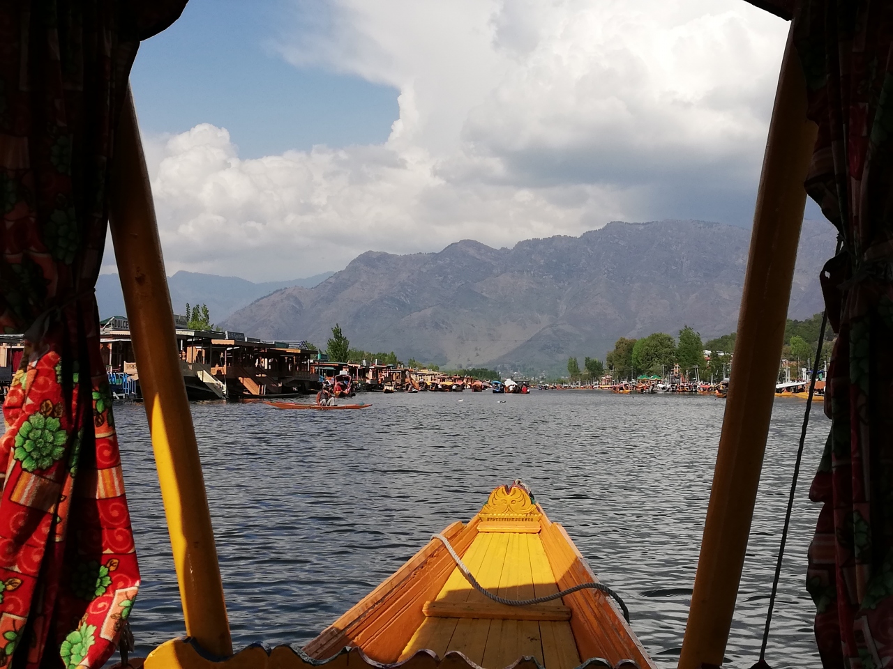 19年 ４ ７月 カシミール スリナガル チューリップガーデン シュリーナガル インド の旅行記 ブログ By ケンジさん フォートラベル