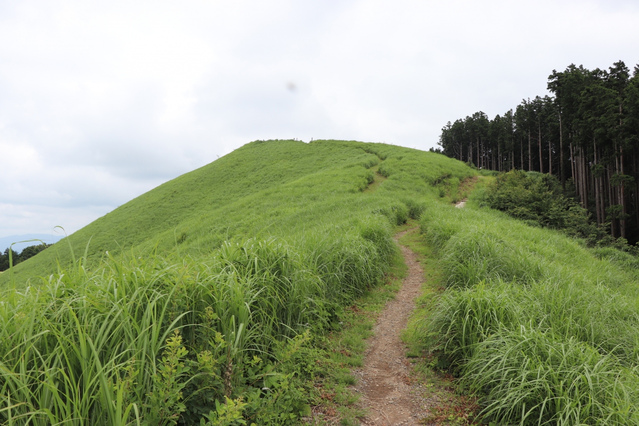 19 7 7 雨が降らなかったので近場で登山 岩湧山 河内長野 大阪 の旅行記 ブログ By マルネコさん フォートラベル