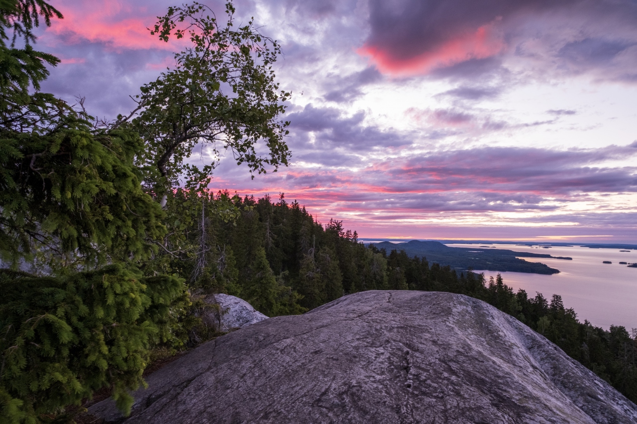 フィンランドの夏の湖と森の写真を撮りに行く旅 4 2日目その3 夕暮れのコリ国立公園 ヨエンスー フィンランド の旅行記 ブログ By カレンサマーさん フォートラベル