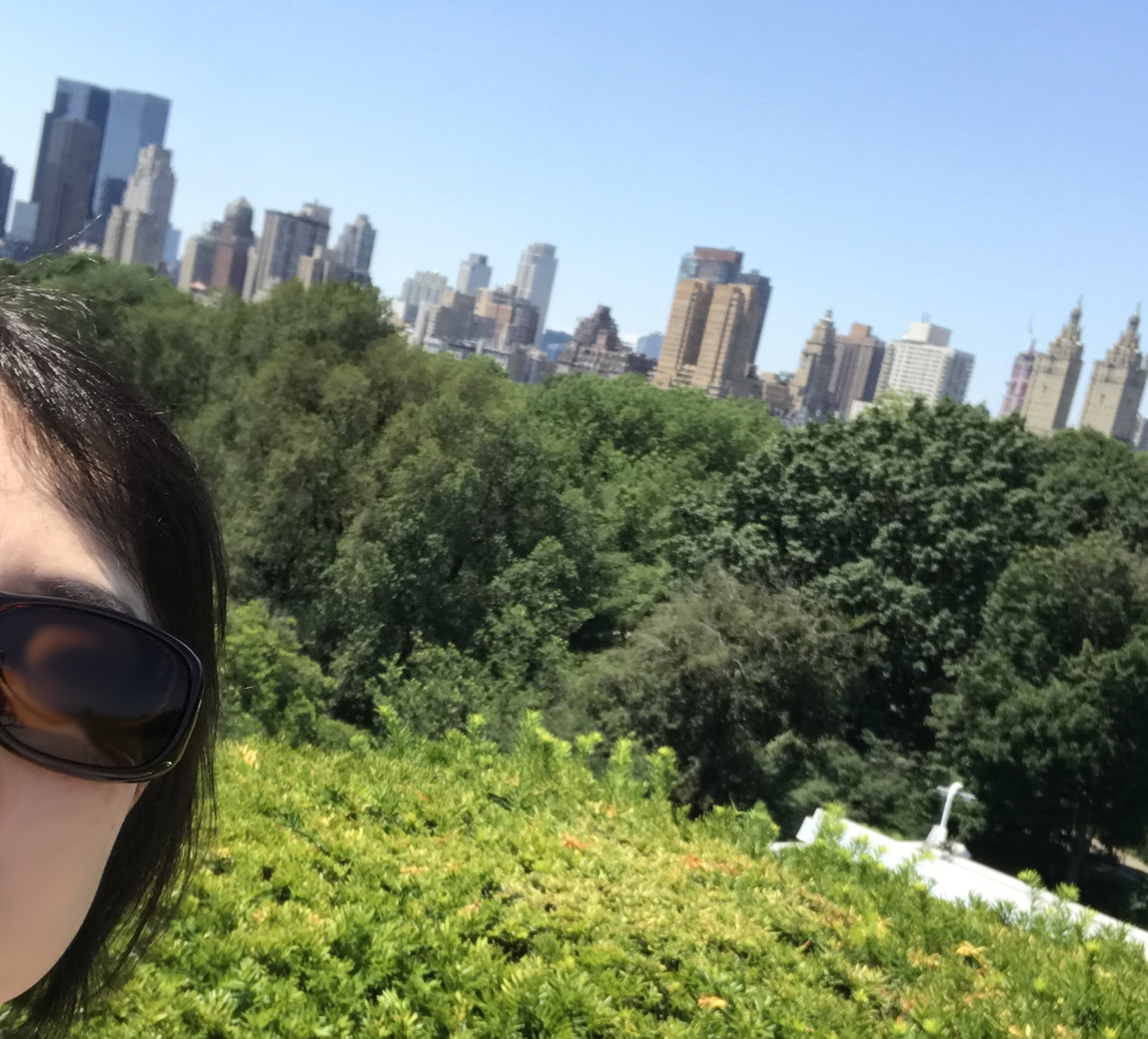 ニューヨーク女一人旅 ファーストクラスとミュージカルとミュージアムと 到着初日 ニューヨーク アメリカ の旅行記 ブログ By 葉月さん フォートラベル