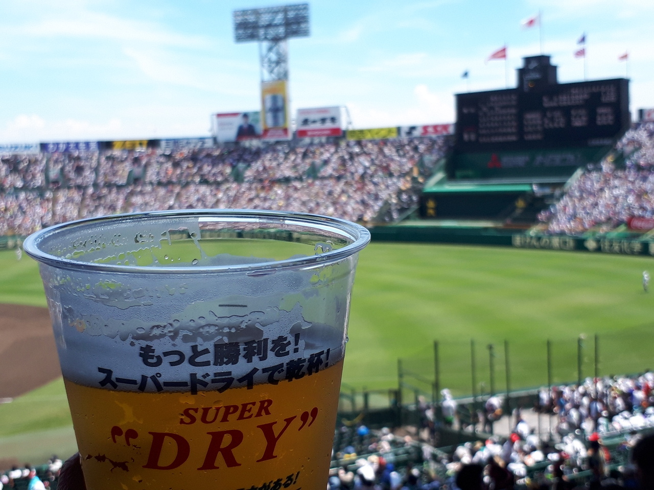 第101回夏の高校野球 甲子園球場 兵庫県の旅行記 ブログ By ひまわりさん フォートラベル