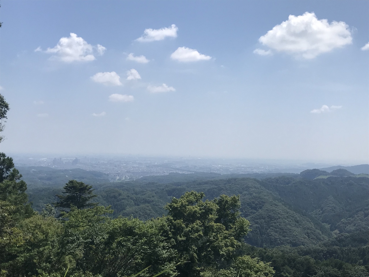 山頂まで行かない高尾山散策 高尾 八王子 東京 の旅行記 ブログ By Kurajiさん フォートラベル