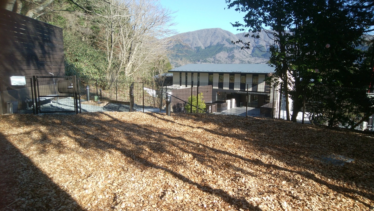 プラム5歳 箱根仙石原 仙石原 神奈川県 の旅行記 ブログ By 千恵蔵さん フォートラベル