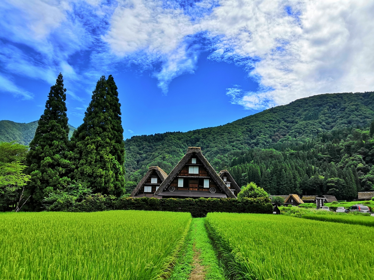 夏休み家族旅行二日目 白川郷 天空の楽園 日本一の星空ツアー編 白川郷 岐阜県 の旅行記 ブログ By ぱっちゃんさん フォートラベル