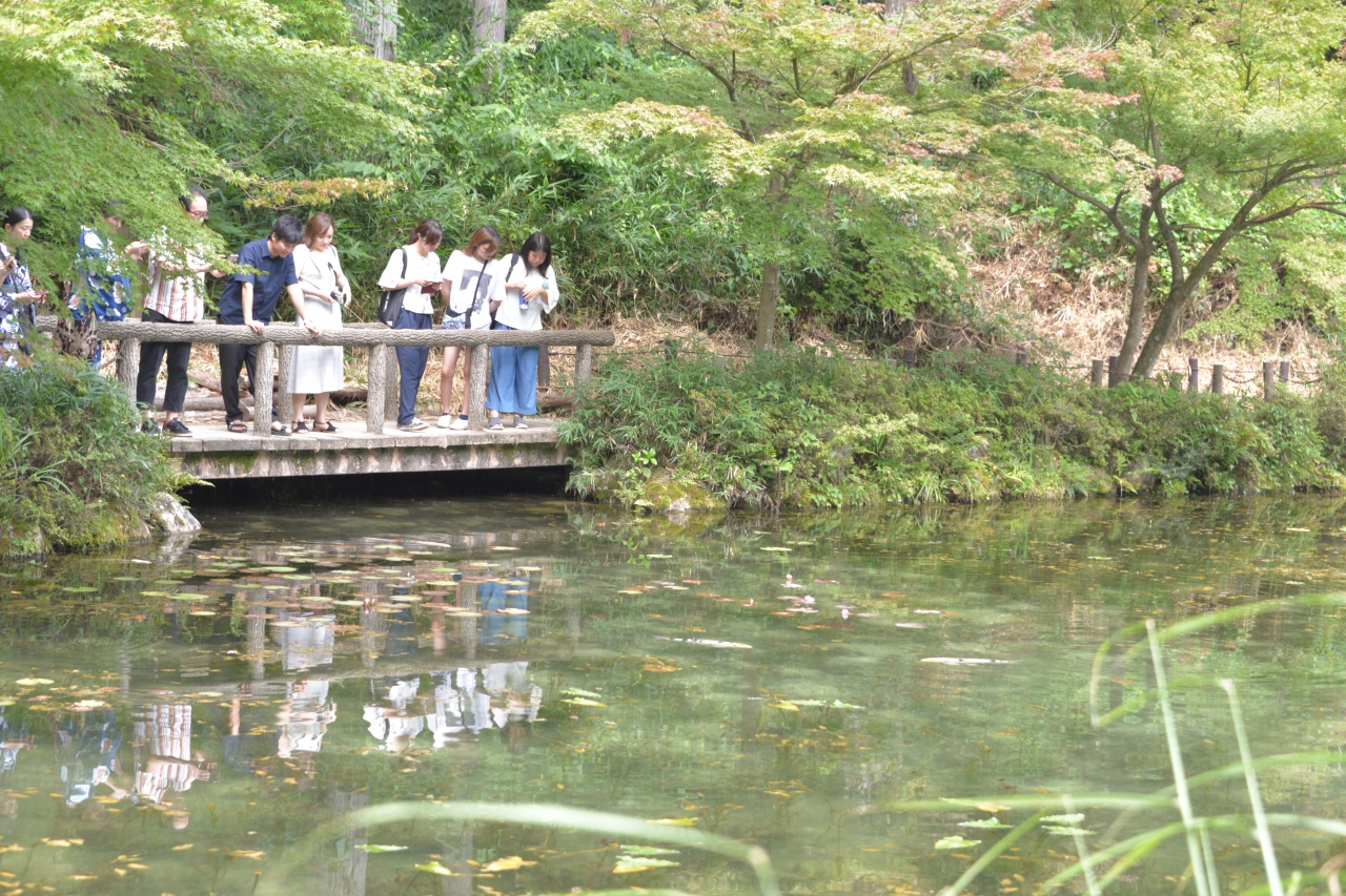 モネの池は名もなき池 関 岐阜県 の旅行記 ブログ By Rin Tomitaさん フォートラベル