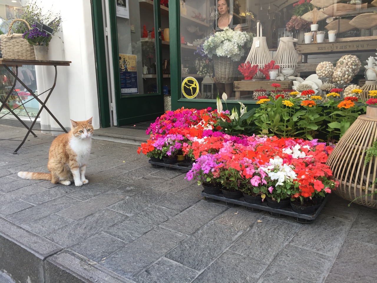 サレルノで超短期イタリア語留学 I イタリアの旅行記 ブログ By 主にひとり旅 時々二人旅さん フォートラベル