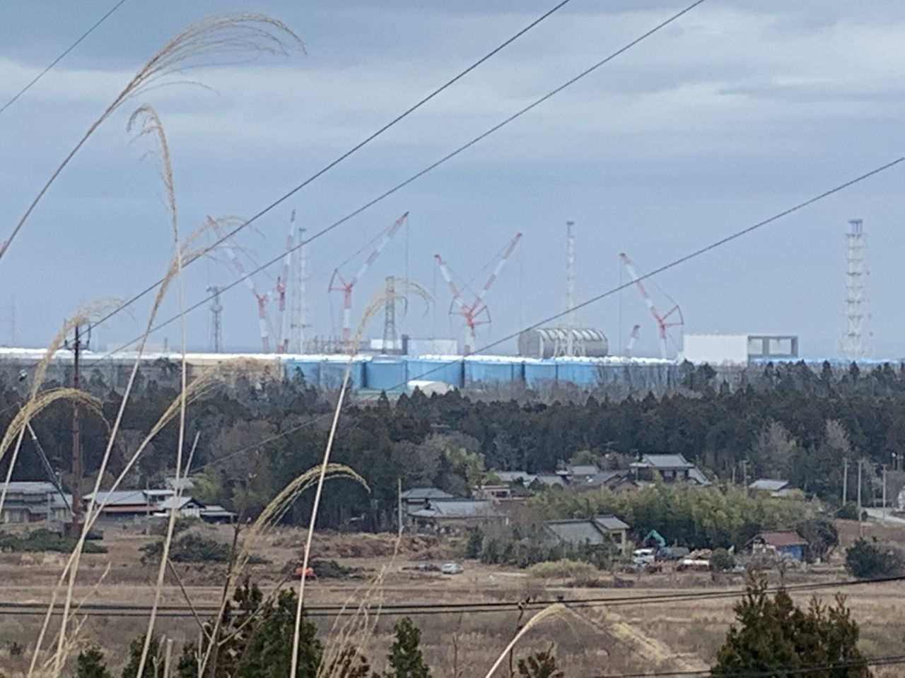 第 原発 福島 一