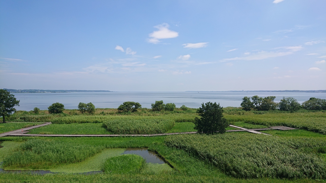 日本第２位の大きさの湖 霞ヶ浦 茨城県 土浦市 石岡 霞ヶ浦 茨城県 の旅行記 ブログ By アラビアンナイトさん フォートラベル