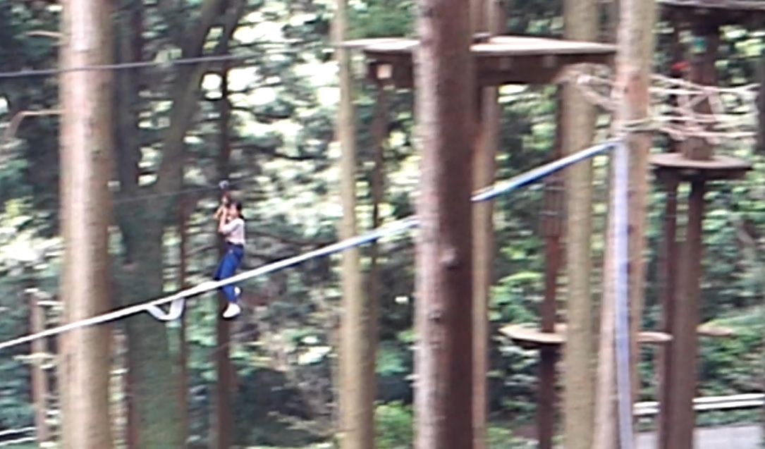 走れ登れ飛べ フォレストアドベンチャーでムササビになる 箱根湯本温泉 神奈川県 の旅行記 ブログ By ころたさん フォートラベル 走れ登れ飛べ フォレストアドベンチャーでムササビになる 箱根湯本温泉 神奈川県 の旅行記 ブログ By ころたさん フォートラベル