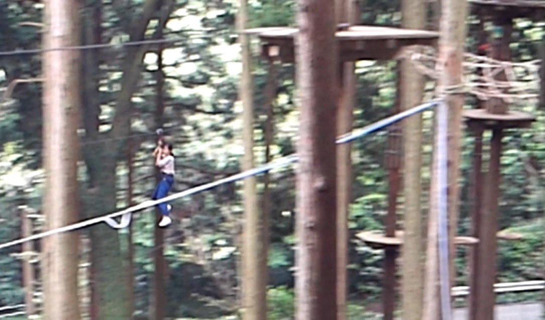 走れ登れ飛べ フォレストアドベンチャーでムササビになる 箱根湯本温泉 神奈川県 の旅行記 ブログ By ころたさん フォートラベル