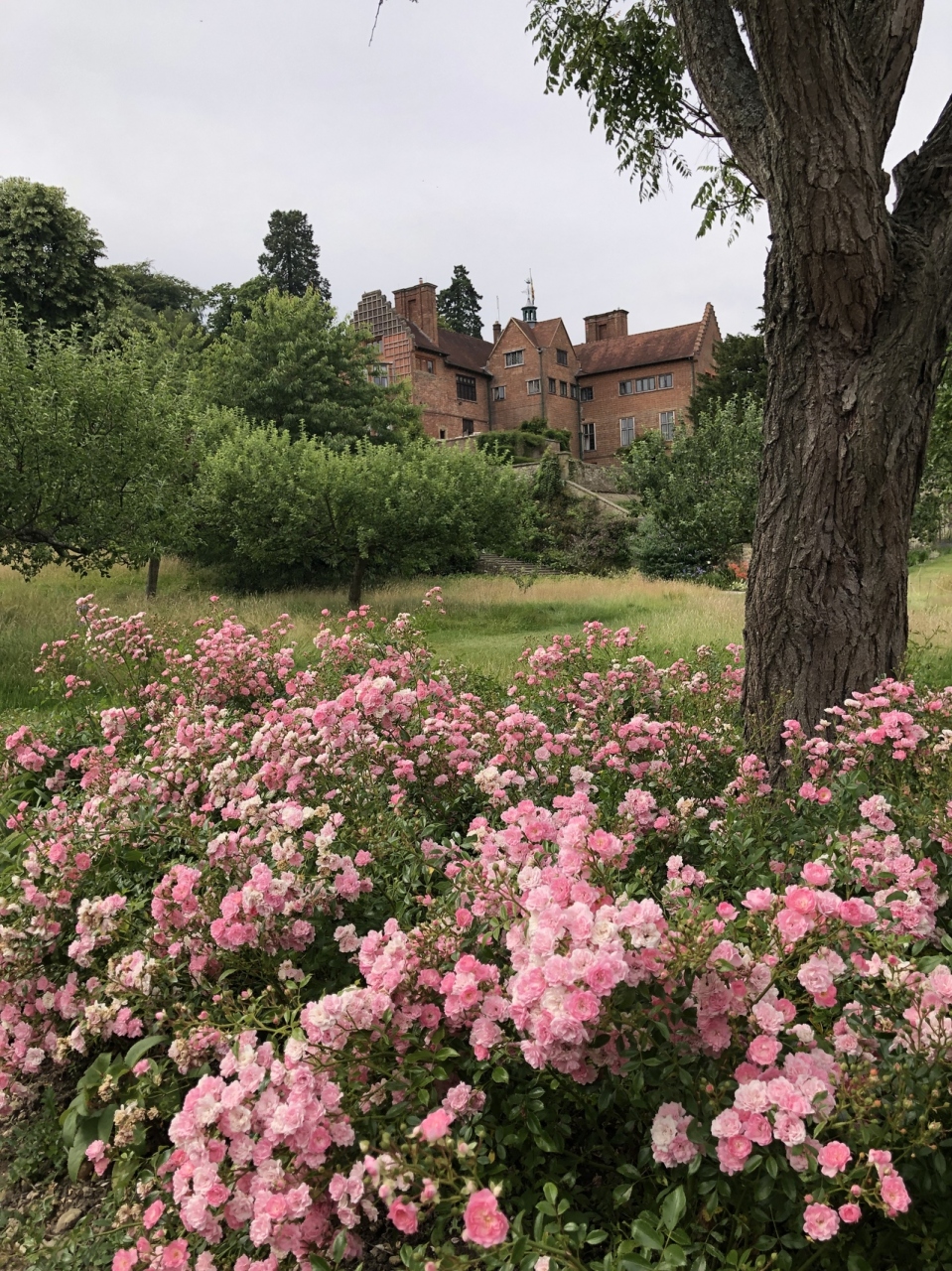チャートウェル チャーチルを辿る旅 その他の都市 イギリス の旅行記 ブログ By Michyさん フォートラベル