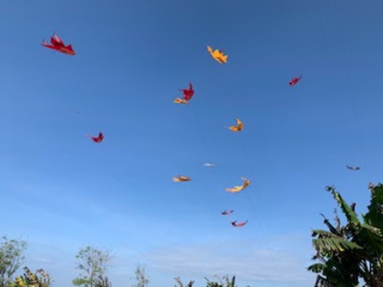 バリ島の迫力ある凧揚げ大会 バリ島 インドネシア の旅行記 ブログ By Karisma Bali Tourさん フォートラベル