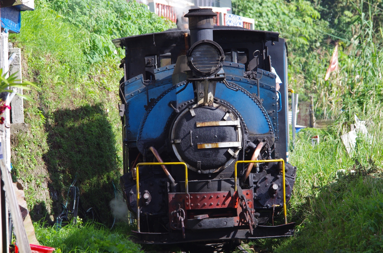 19年9月1日後半 ガネーシャ神生誕祝日休暇 ダージリン旅行 トイトレイン撮り鉄の旅編 ダージリン インド の旅行記 ブログ By ぱっしょんkさん フォートラベル 19年9月1日後半 ガネーシャ神生誕祝日休暇 ダージリン旅行 トイトレイン撮り鉄の旅編 ダージリン インド の旅行記 ブログ By ぱっしょんkさん フォートラベル