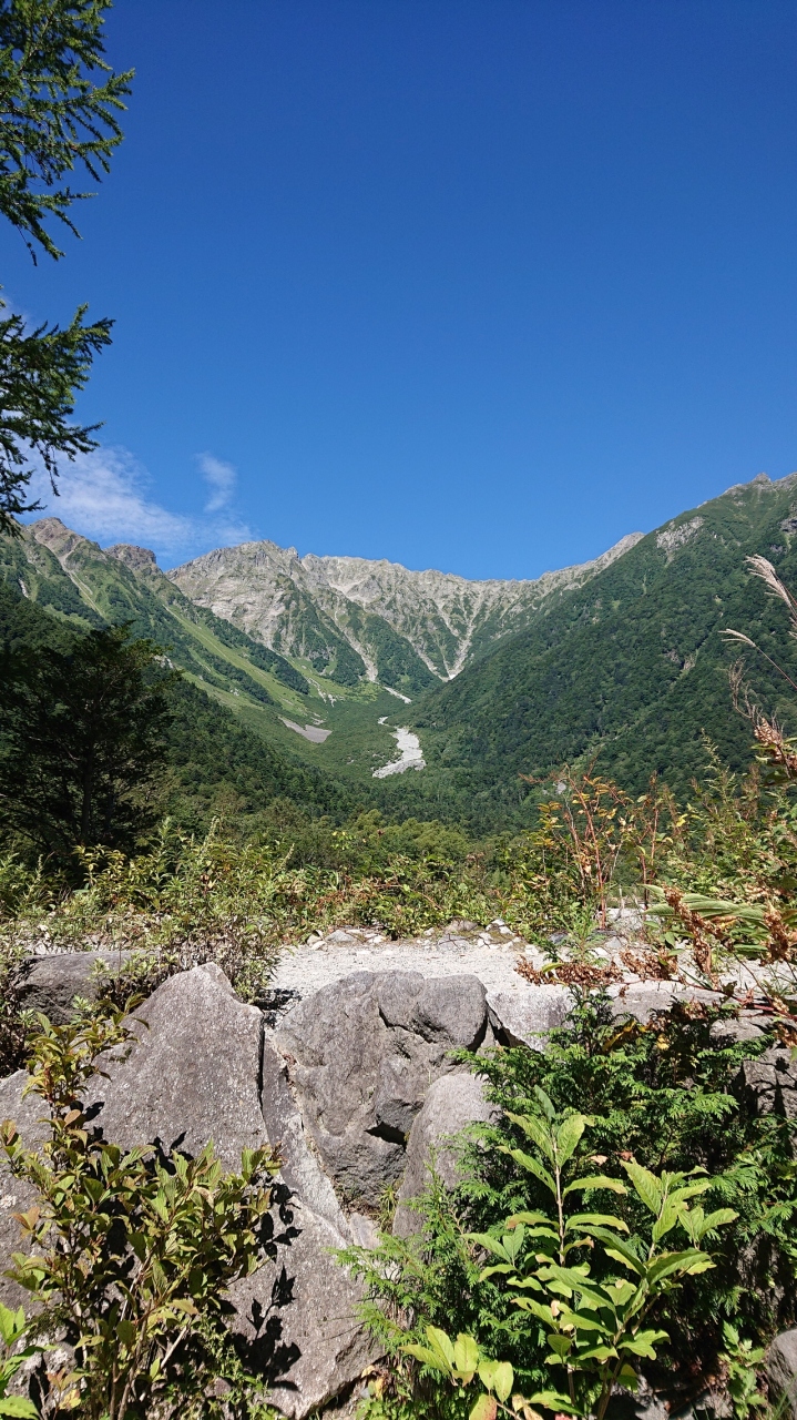 上高地滞在4時間ツアーに参加しました 上高地 長野県 の旅行記 ブログ By しかさんさん フォートラベル