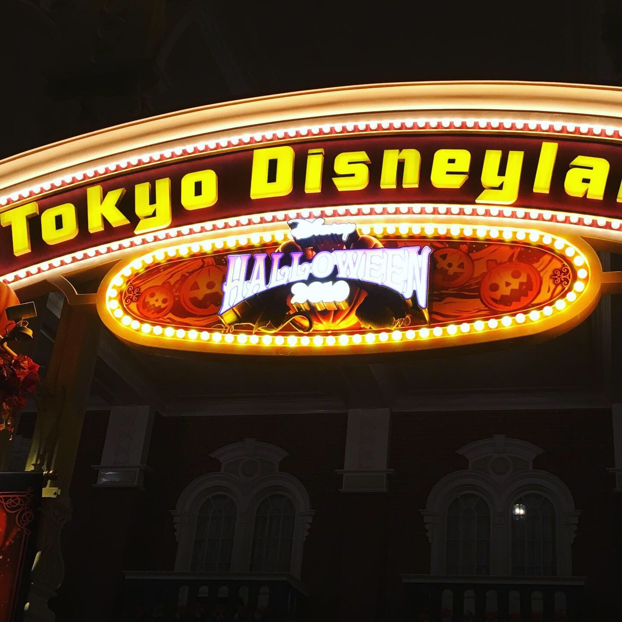 台風ディズニー 東京ディズニーリゾート 千葉県 の旅行記 ブログ By オカピさん フォートラベル
