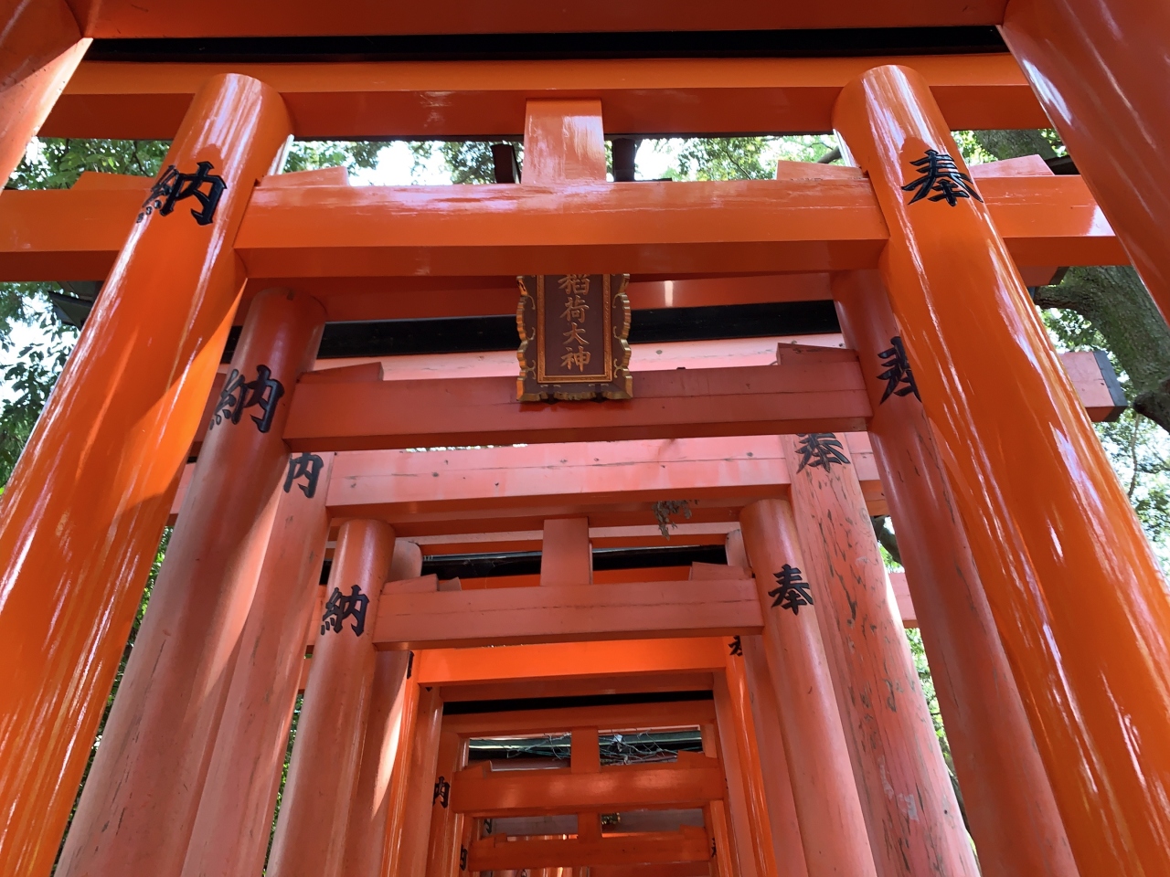 そうだ なちょ と京都に行こう 19夏 ４ 伏見稲荷大社 編 伏見 京都 の旅行記 ブログ By げっぴーさん フォートラベル