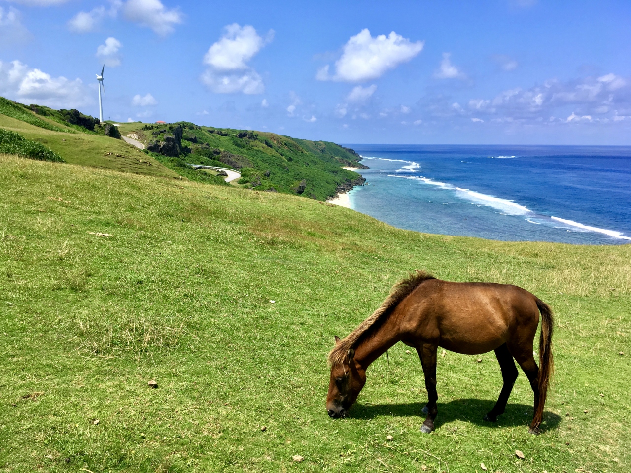 台風ラッシュ それでも与那国島へ行きたい理由がココにある つづき 与那国島 沖縄県 の旅行記 ブログ By やえやまじろうさん フォートラベル