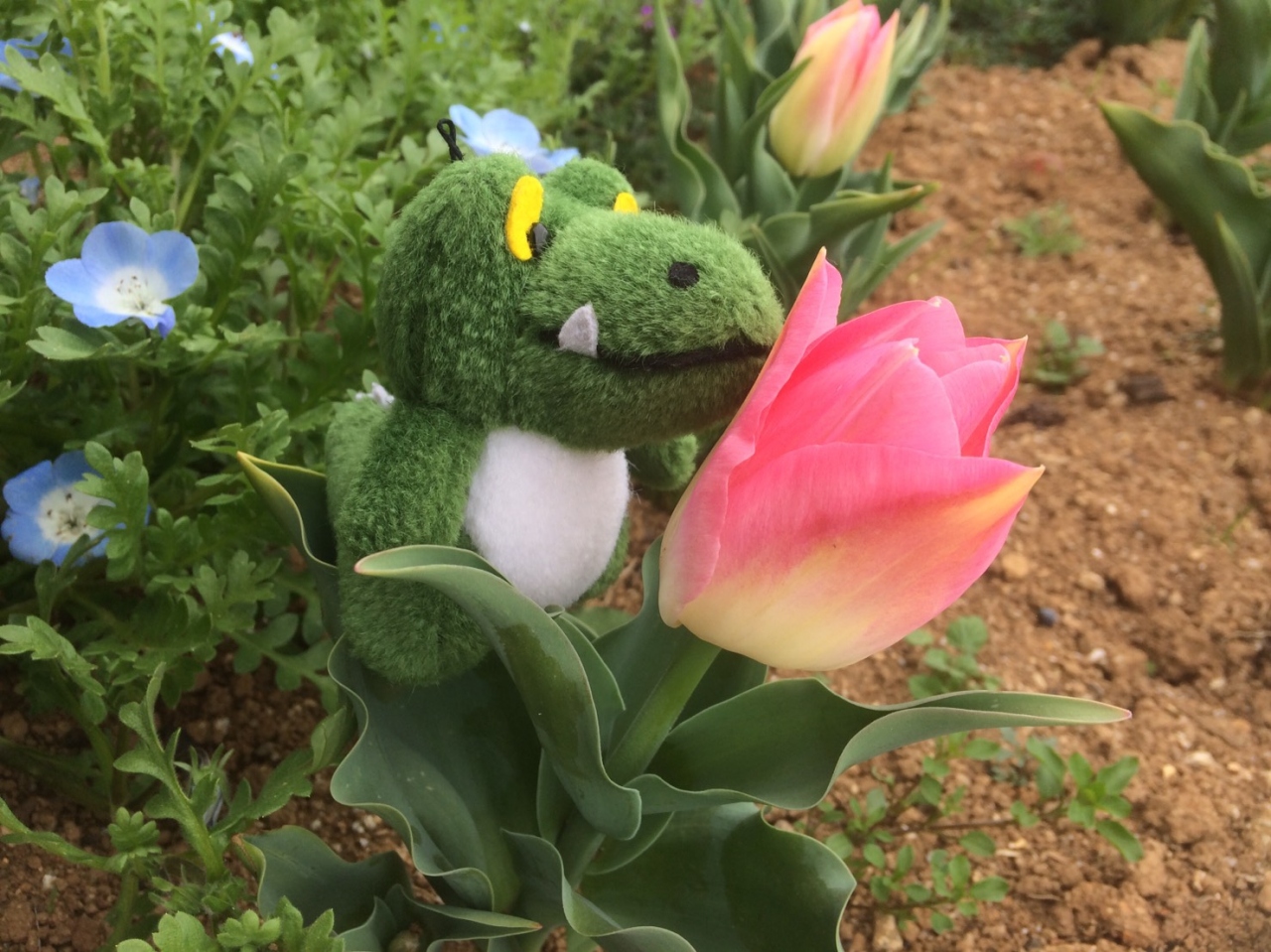 人生初のひとり旅 能古島と南蔵院 福岡県の旅行記 ブログ By リタさん フォートラベル