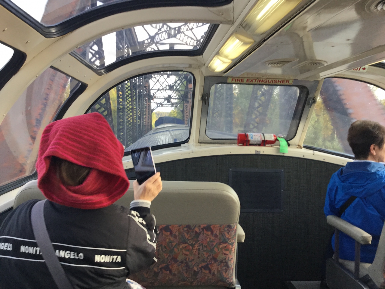 オーロラと動物と氷河 アラスカ鉄道 In Alaska アラスカ州 アメリカ の旅行記 ブログ By ごろちゃんさん フォートラベル
