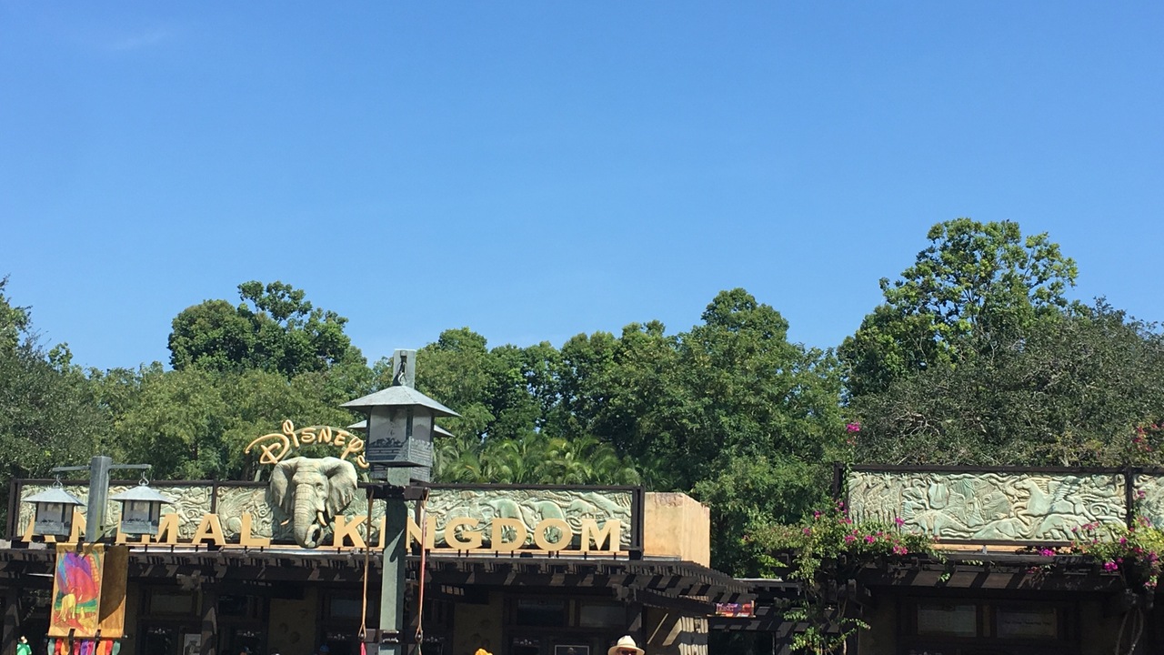 ディズニーワールド 19 アニマルキングダム オーランド アメリカ の旅行記 ブログ By Umモカチビさん フォートラベル ディズニーワールド 19 アニマルキングダム オーランド アメリカ の旅行記 ブログ By Umモカチビさん フォートラベル