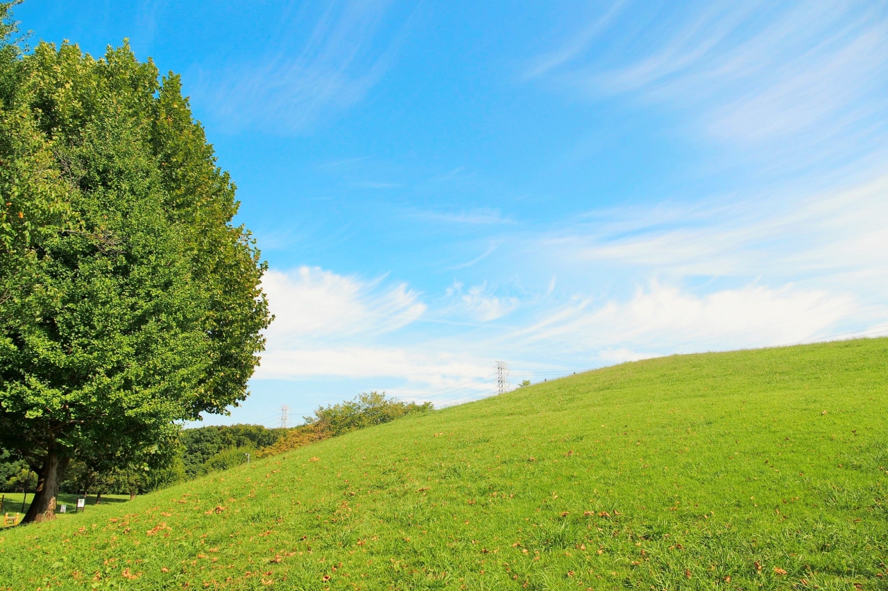 調布市 深大寺とダリア咲く神代植物公園をひとり散歩 調布 狛江 東京 の旅行記 ブログ By あんこう鍋さん フォートラベル