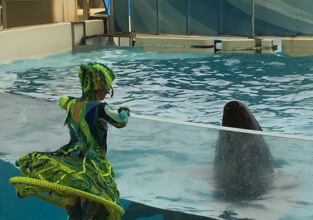 神奈川県 新江ノ島水族館は私の国内top3に入るアクエリアム 藤沢 江ノ島 神奈川県 の旅行記 ブログ By 旅に恋するウミガメさん フォートラベル