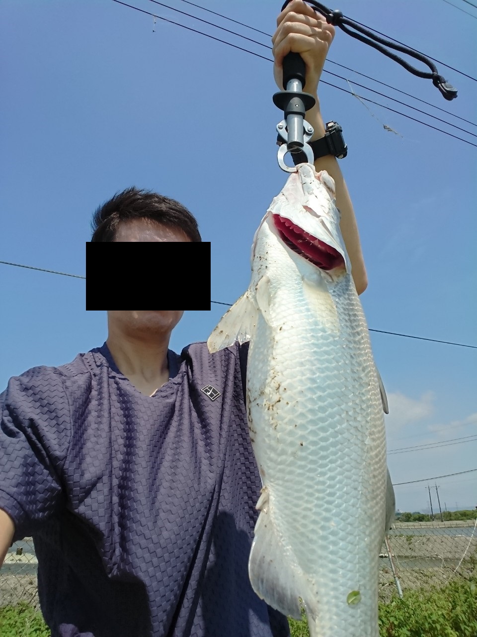 台湾 高雄 釣行記 バラマンディ釣り堀 高雄 台湾 の旅行記 ブログ By T Swanさん フォートラベル