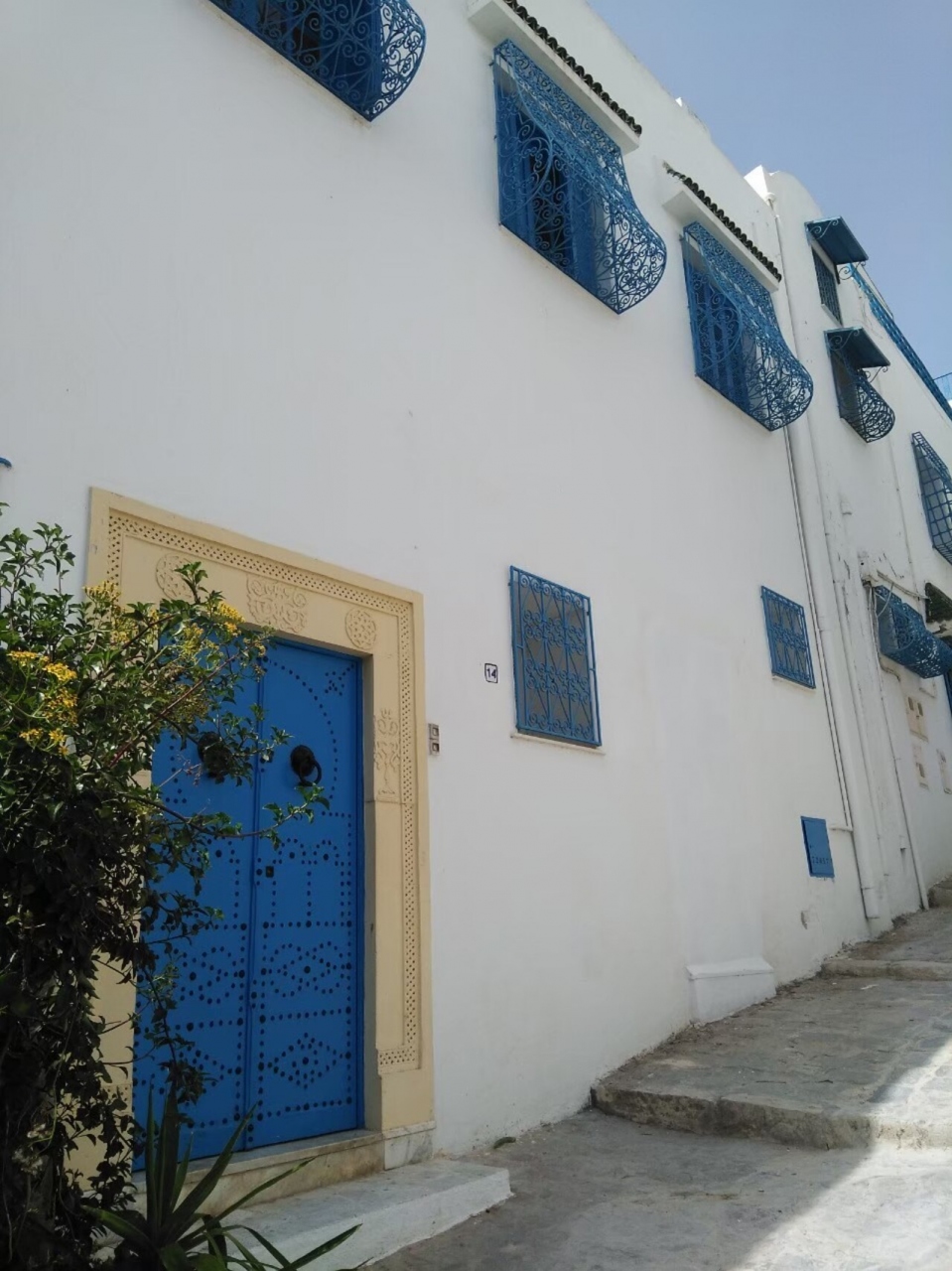 青と白の街 シディブサイド チュニジアの旅行記 ブログ By たび好きタンさん フォートラベル 青と白の街 シディブサイド チュニジアの旅行記 ブログ By たび好きタンさん フォートラベル