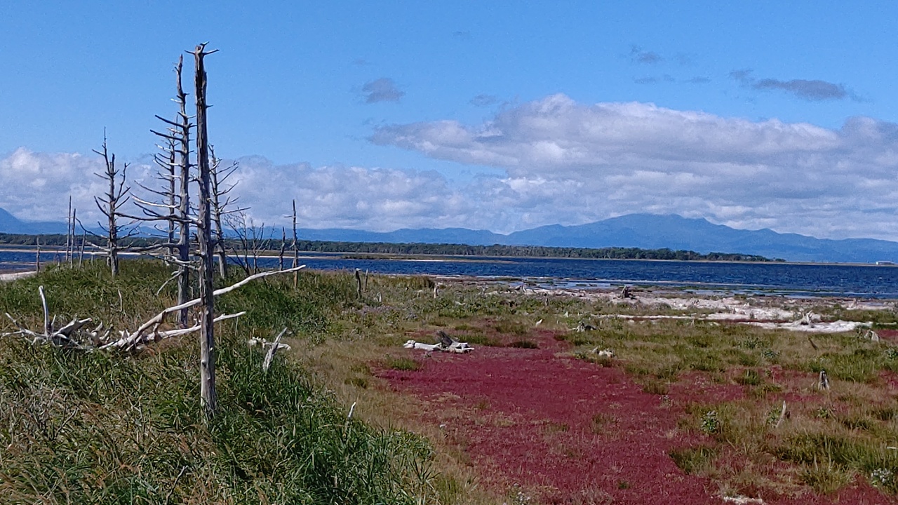 5泊6日道東旅行 この世の果て トドワラ ナラワラ を訪ねて 別海 野付 北海道 の旅行記 ブログ By Muguetさん フォートラベル