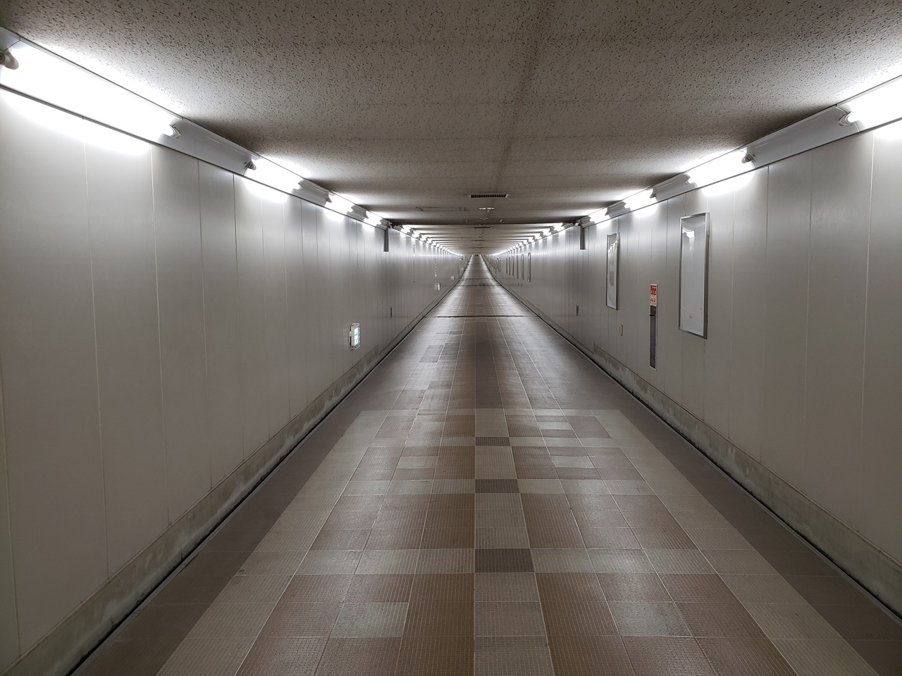 台北で最高の小吃と鳳梨酥を探す旅2日間 初日 いきなり番外編 都会の廃墟駅 東成田駅へ突撃編 成田 千葉県 の旅行記 ブログ By Yoshi Can トラベルさん フォートラベル