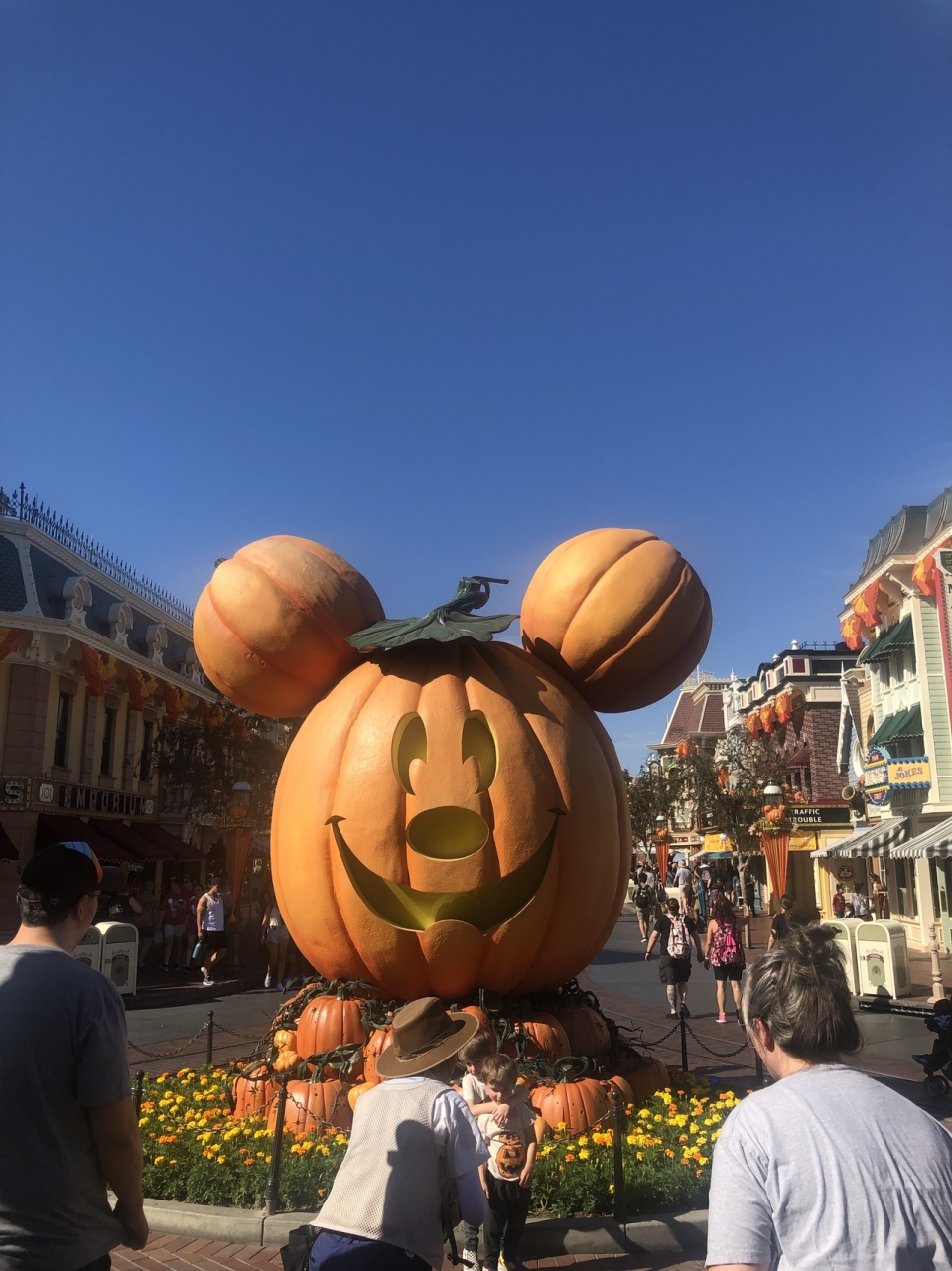 カリフォルニアディズニーリゾート満喫の旅 アナハイム アメリカ の旅行記 ブログ By あいんさん フォートラベル カリフォルニアディズニーリゾート満喫の旅 アナハイム アメリカ の旅行記 ブログ By あいんさん フォートラベル