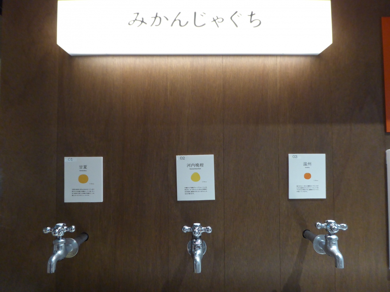母娘旅 18年夏休み In 丸の内 浅草 丸の内 大手町 八重洲 東京 の旅行記 ブログ By ウォンバットさん フォートラベル