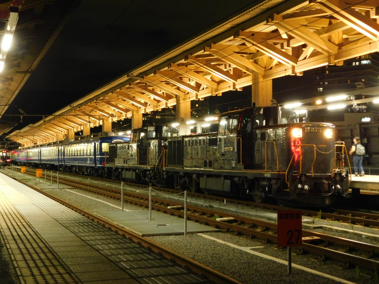 19熊本に臨時列車 急行阿蘇 がやってきた 熊本市 熊本県 の旅行記 ブログ By とのっちさん フォートラベル
