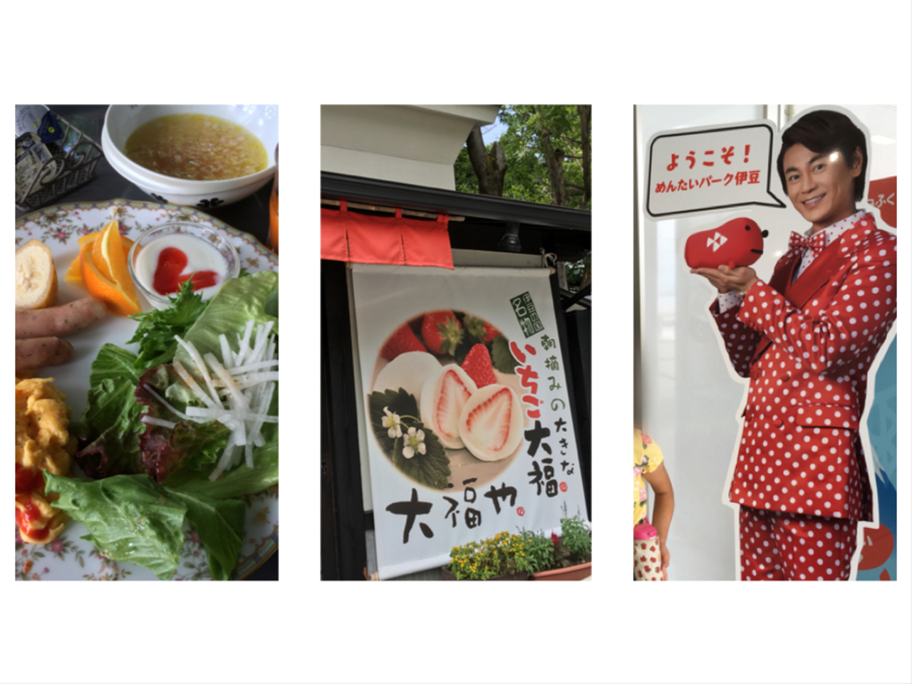 19お盆休み 子供 ママ9名 伊豆旅行 ２日目ステキなペンションアースルーフさんとめんたいパーク 静岡県の旅行記 ブログ By Kienaさん フォートラベル