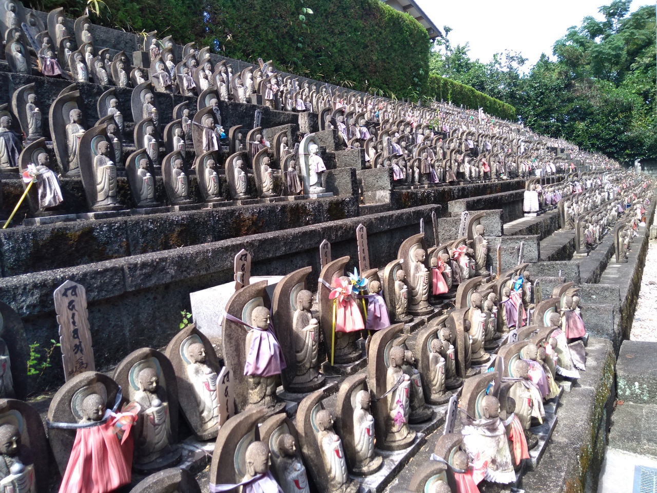 プチ観光 大草公園 知多四国70番の地蔵寺 知多四国71番大智院 旭公園散策 常滑の彼岸花 知多 東浦 愛知県 の旅行記 ブログ By Sakurahanaさん フォートラベル プチ観光 大草公園 知多四国70番の地蔵寺 知多四国71番大智院 旭公園散策 常滑の彼岸花 知多 東浦 愛知県 の旅行記 ブログ By Sakurahanaさん フォートラベル