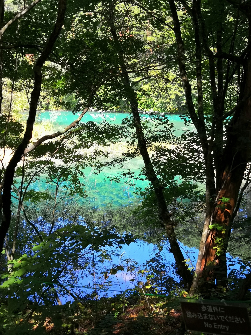 19年9月 裏磐梯レイクリゾートホテル 五色沼 裏磐梯 猫魔 福島県 の旅行記 ブログ By Sekaiさん フォートラベル 19年9月 裏磐梯レイクリゾートホテル 五色沼 裏磐梯 猫魔 福島県 の旅行記 ブログ By Sekaiさん フォートラベル