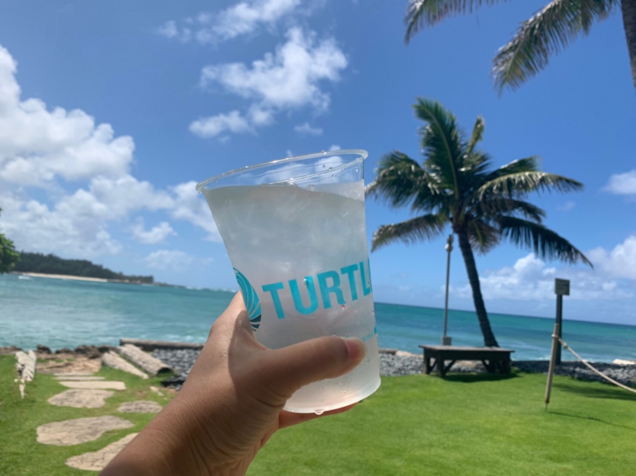 娘とhawaii旅行 7泊9日 6日目 タートルビーチ アロハフェスティバル ホノルル ハワイ の旅行記 ブログ By チョッチさん フォートラベル