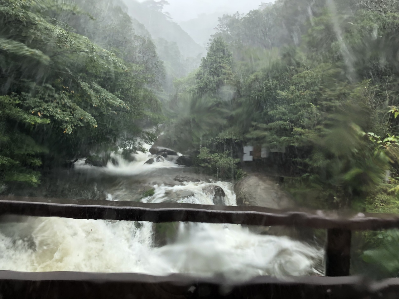 台風直撃 白谷白雲峡でビビル 屋久島 鹿児島県 の旅行記 ブログ By こかげさん フォートラベル