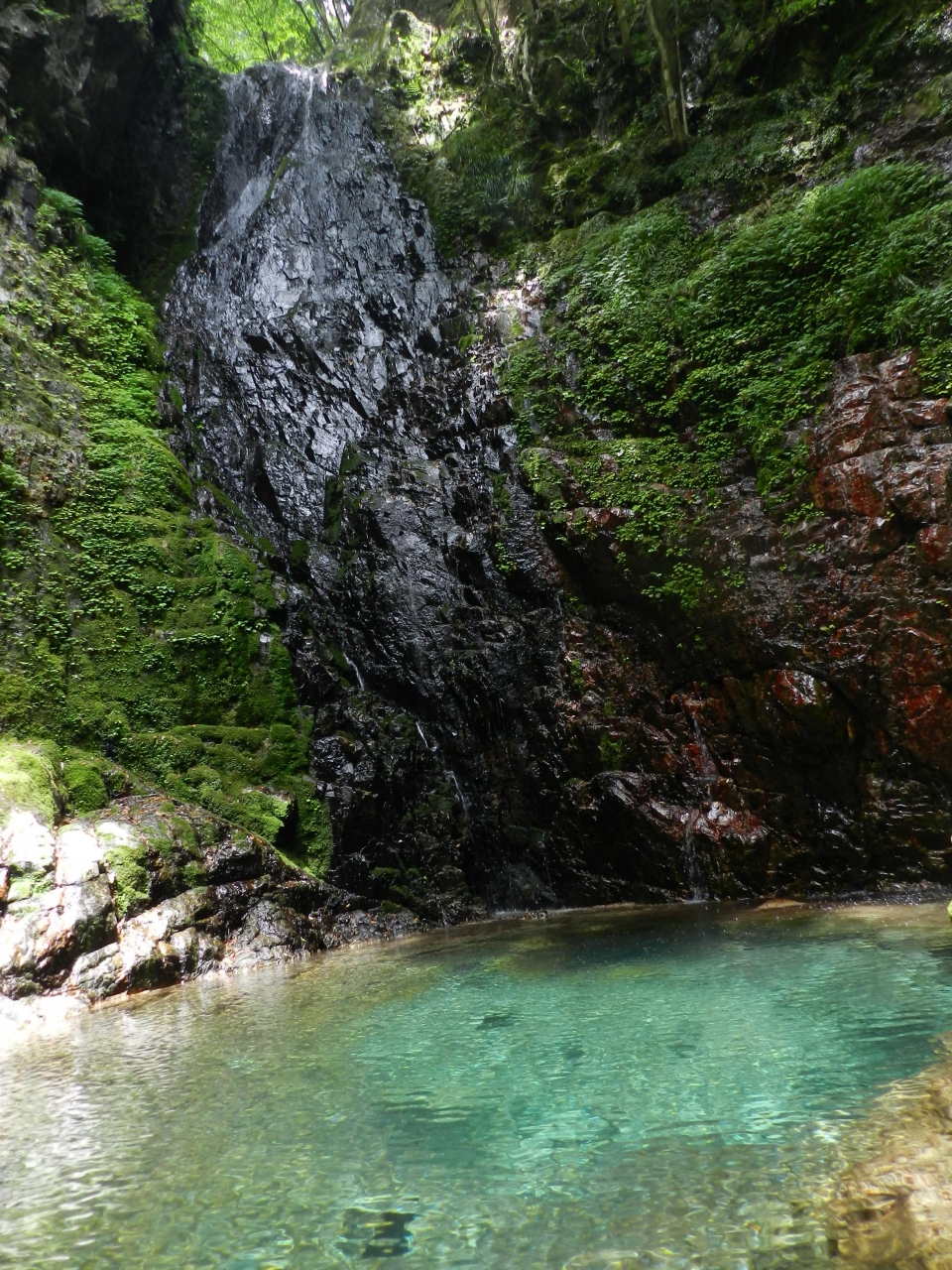 古座川町の ハリオの滝 でアカハライモリに出逢う 17年6月 南紀で滝めぐり その２ 串本 古座川 和歌山県 の旅行記 ブログ By Joecoolさん フォートラベル