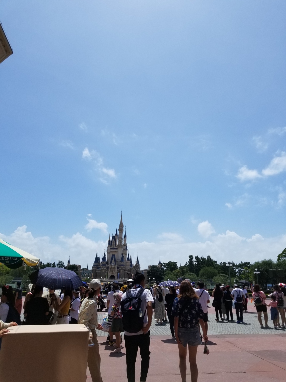 千葉 19 夏 8歳4歳子連れ 日帰り ディズニーランド 東京ディズニーリゾート 千葉県 の旅行記 ブログ By リッパーさん フォートラベル