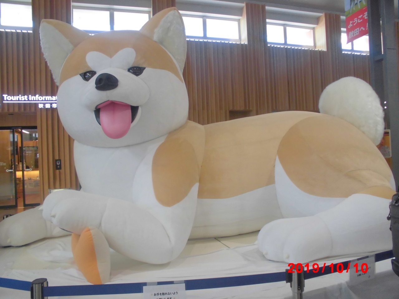 空と秋田のあいだには 秋田市 秋田県 の旅行記 ブログ By Haru04さん フォートラベル 空と秋田のあいだには 秋田市 秋田県 の旅行記 ブログ By Haru04さん フォートラベル