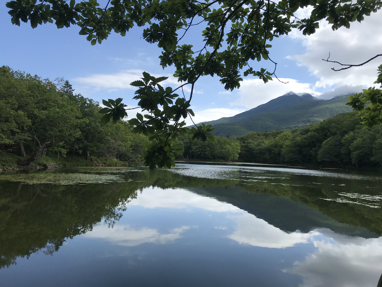 19年 知床 網走の旅 後編 ウトロ 北海道 の旅行記 ブログ By Betipaさん フォートラベル