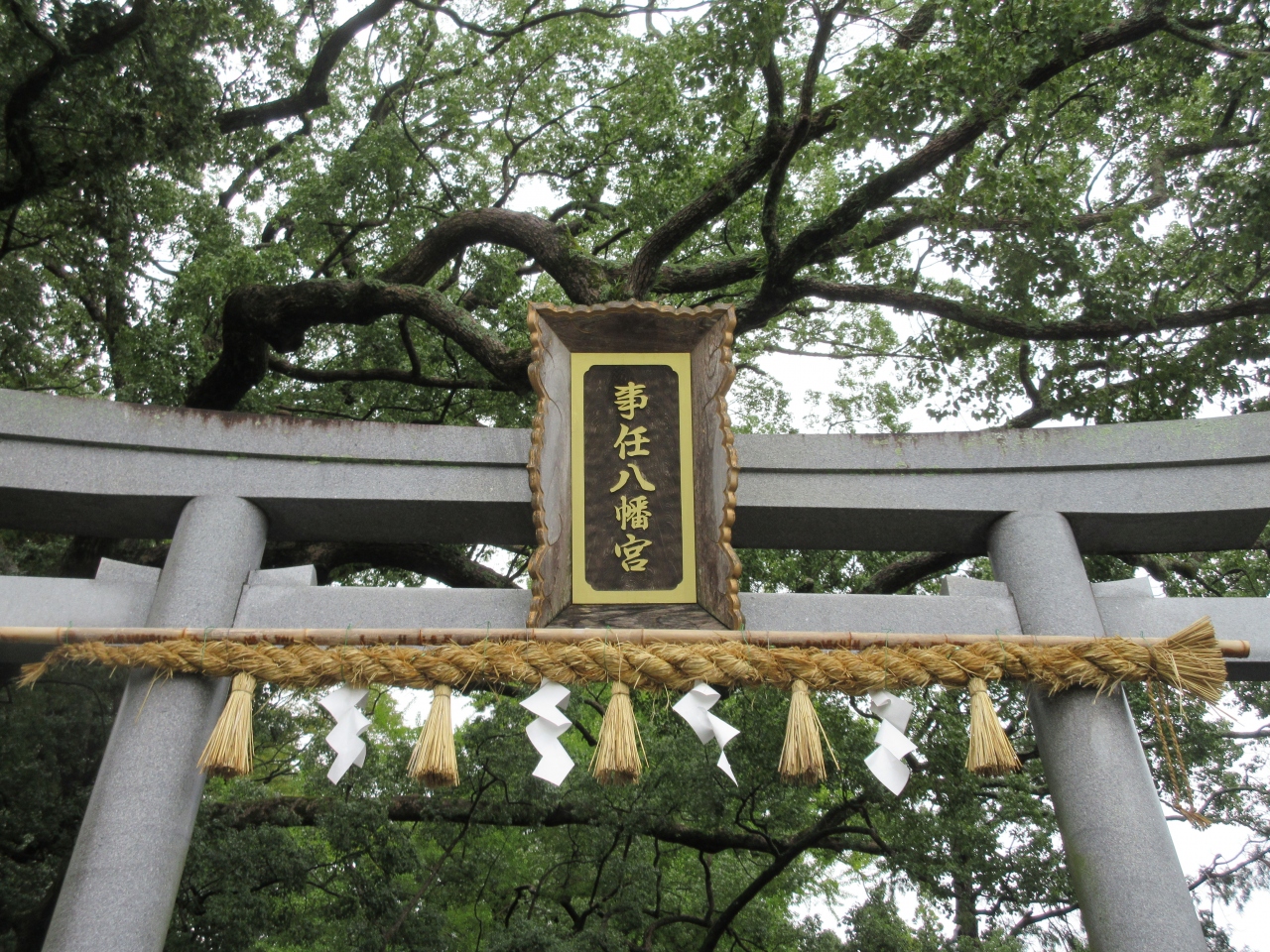 由緒ある神社 事任八幡宮 に訪問 掛川市 掛川 静岡県 の旅行記 ブログ By Nakacyanさん フォートラベル