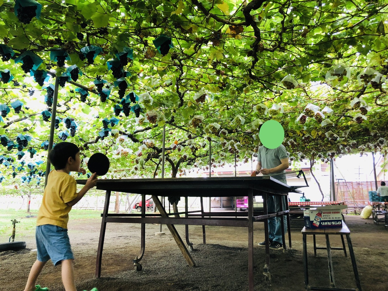 19勝沼ぶどう狩りと流し素麺 勝沼 塩山 山梨県 の旅行記 ブログ By 吉さん フォートラベル
