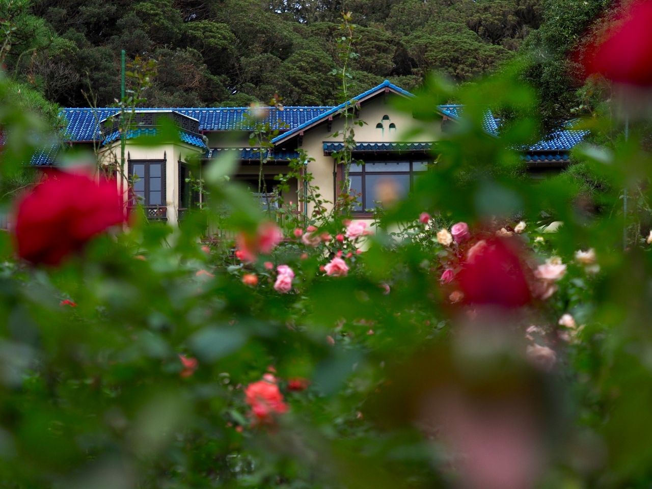 秋の江ノ島 鎌倉ぶらり散歩 藤沢 江ノ島 神奈川県 の旅行記 ブログ By Phoooooosanさん フォートラベル 秋の江ノ島 鎌倉ぶらり散歩 藤沢 江ノ島 神奈川県 の旅行記 ブログ By Phoooooosanさん フォートラベル