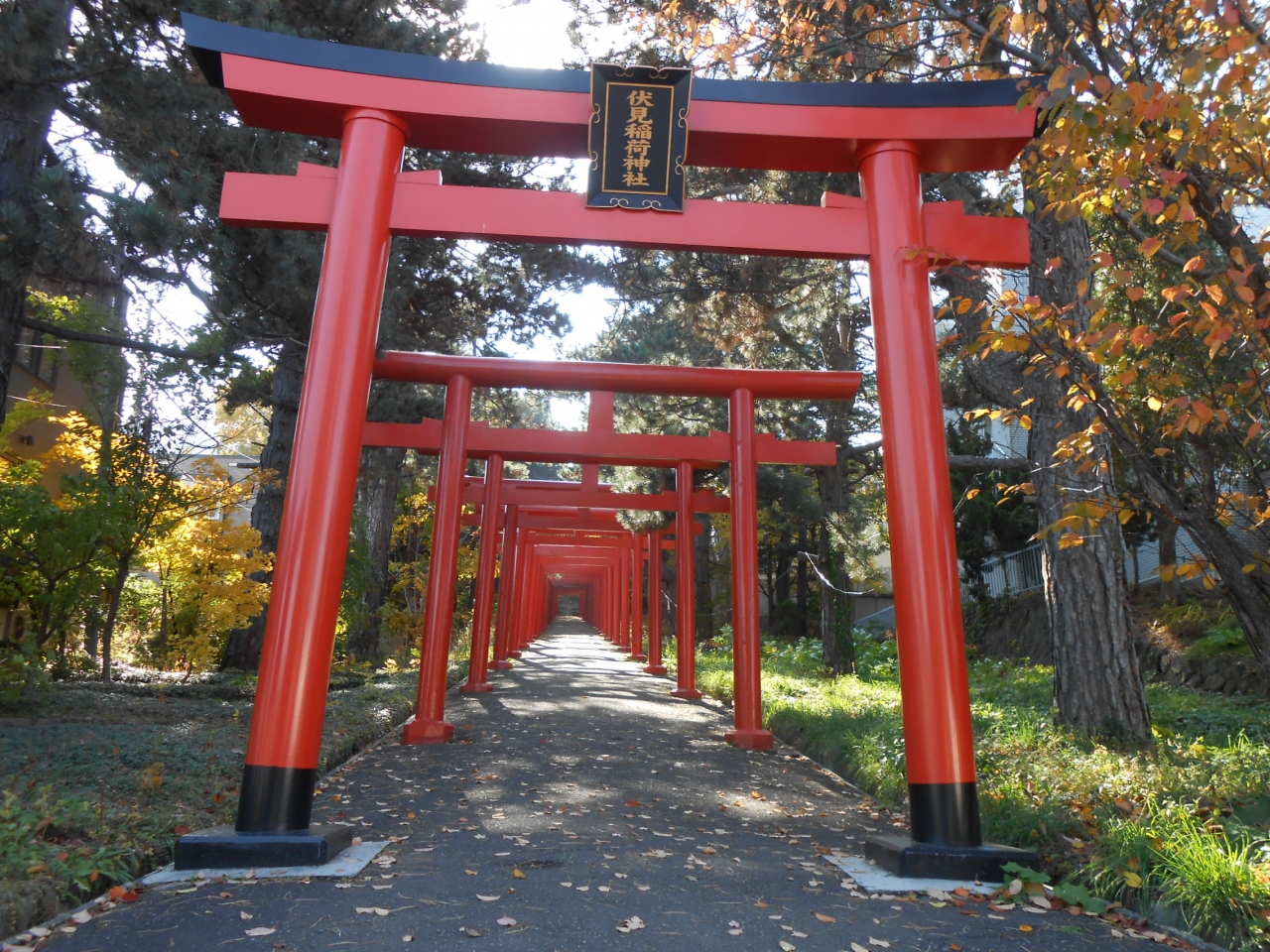 紅葉を観に札幌伏見稲荷神社を訪れる 19 札幌 北海道 の旅行記 ブログ By Mzwさん フォートラベル