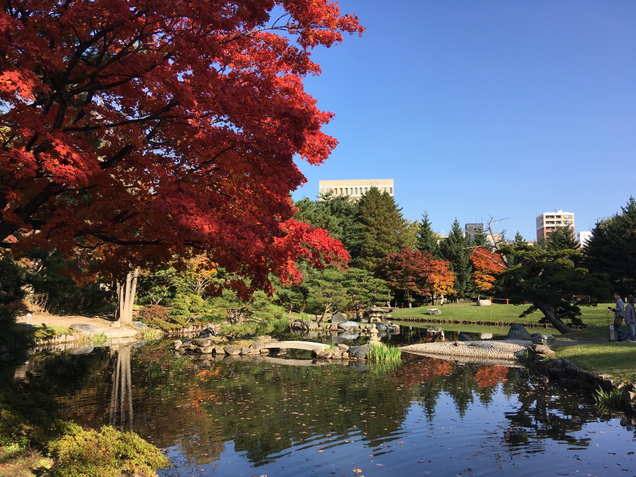 秋 中島公園の紅葉 札幌 北海道 の旅行記 ブログ By ちびのぱぱさん フォートラベル
