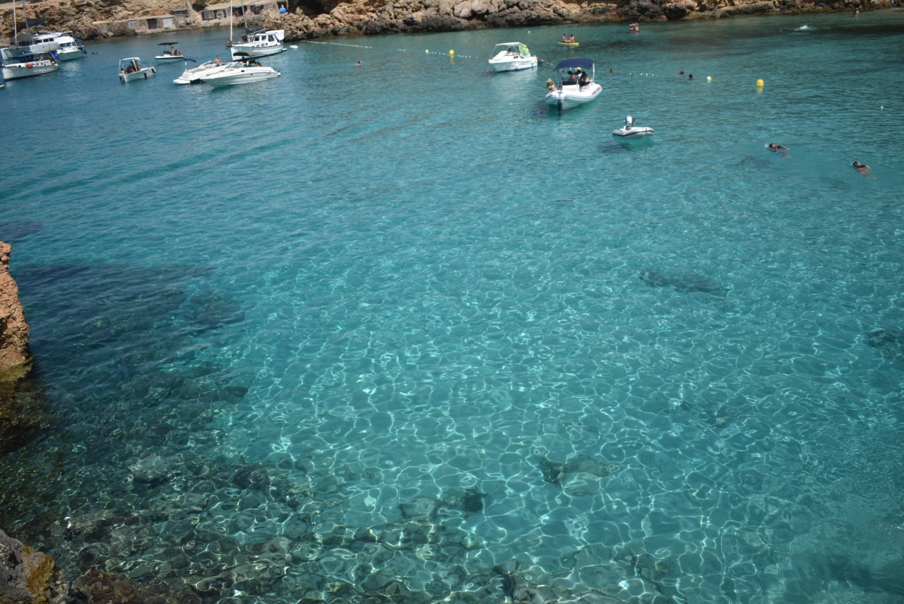 スペイン イビサ島 フォルメンテーラ島を巡る旅 イビサ島 スペイン の旅行記 ブログ By Travel Lovers さん フォートラベル
