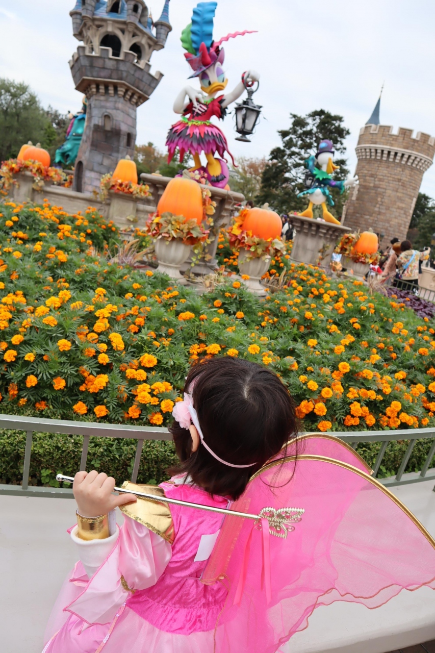 4歳娘と東京ディズニーランドホテル宿泊 ディズニー満喫旅 東京ディズニーリゾート 千葉県 の旅行記 ブログ By むい父さん フォートラベル